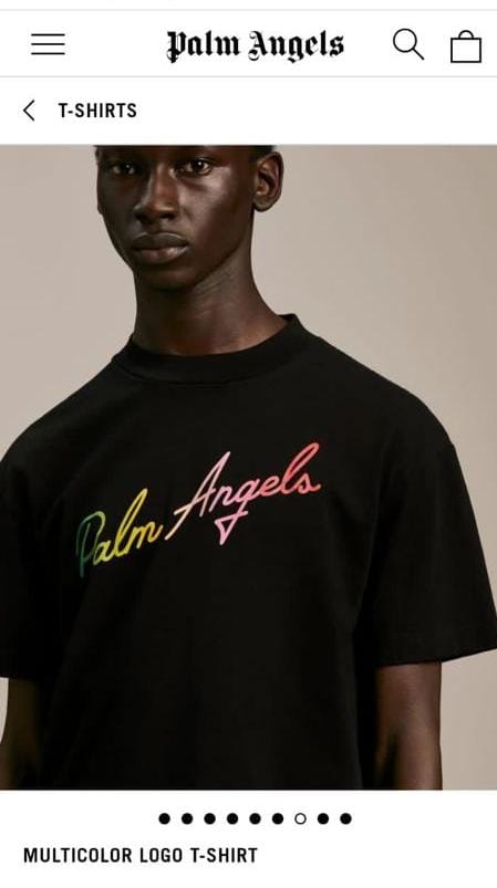 FIRST COPY Palm Angels Very Premium Lycra Round Neck - Image 5