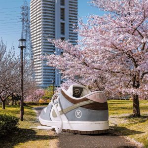 First Copy Nike SB Dunk Yuto Horigome Pair View